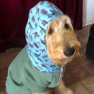 Dog hoodie